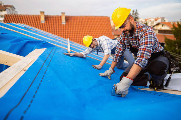 Best Metal Roofing Contractor  in Siesta Acres, TX
