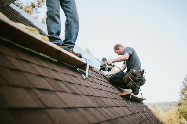 Gutter Installation and Roofing in Siesta Acres, TX
